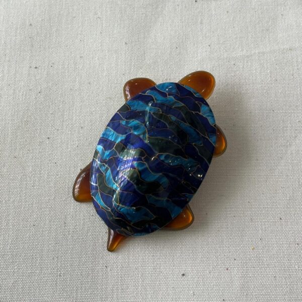 BLUE WATERS TURTLE