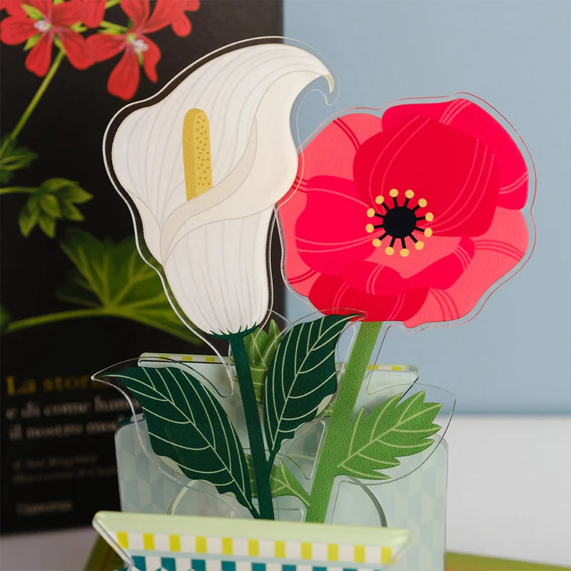 AMAPOLA