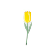 TULIPAN AMARILLO