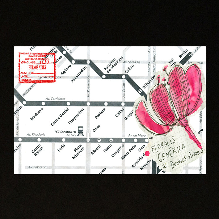 BROCHE SPILLA BUENOS AIRES