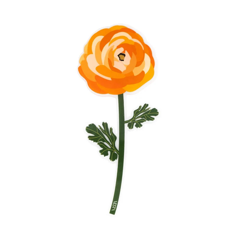 RANUNCULUS