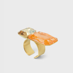 ANILLO SESOS