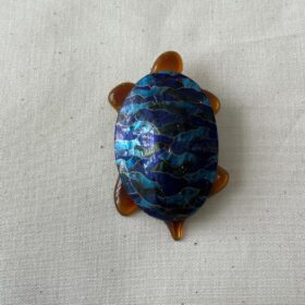 TORTUE AZUL AGUAS