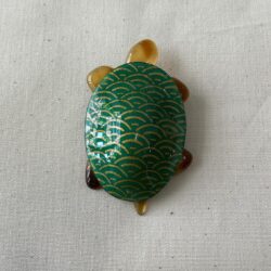 TORTUE VERDE